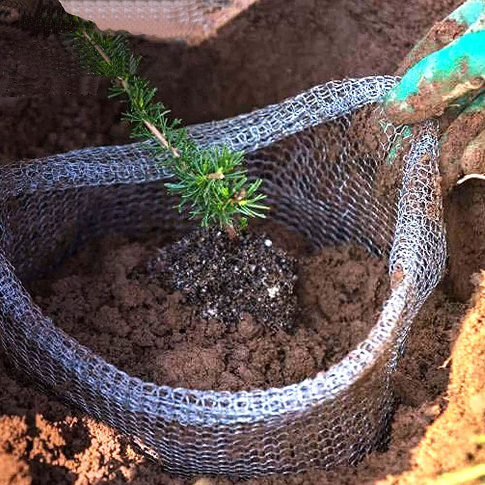 Mesh Stainless Strap - Plant Root Guard Baskets Gardening Mesh