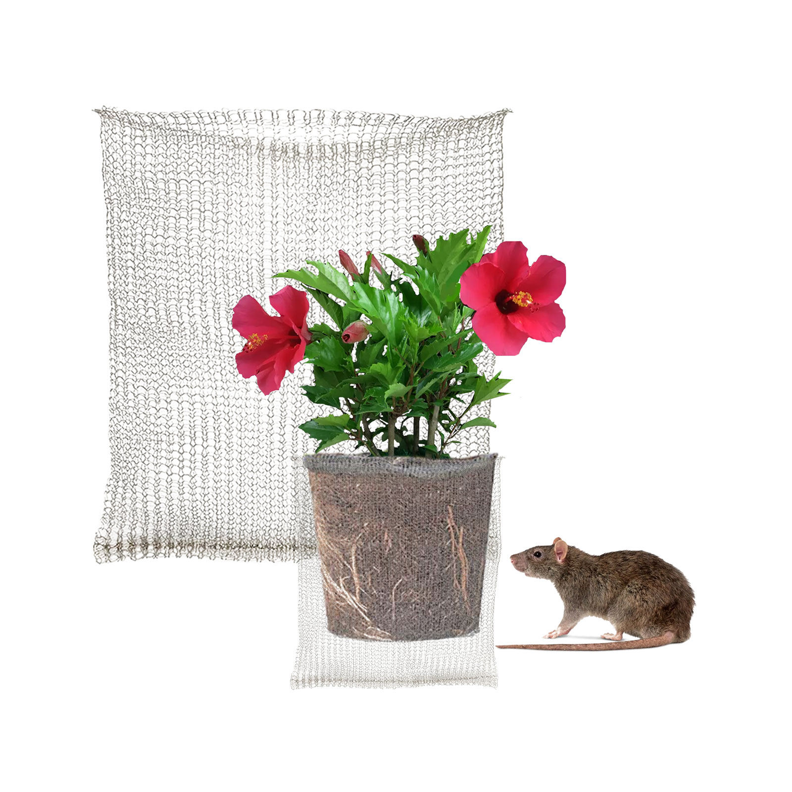 Plant Root Guard Baskets Garde – Mesh Stainless Strap Bewertung und Preis