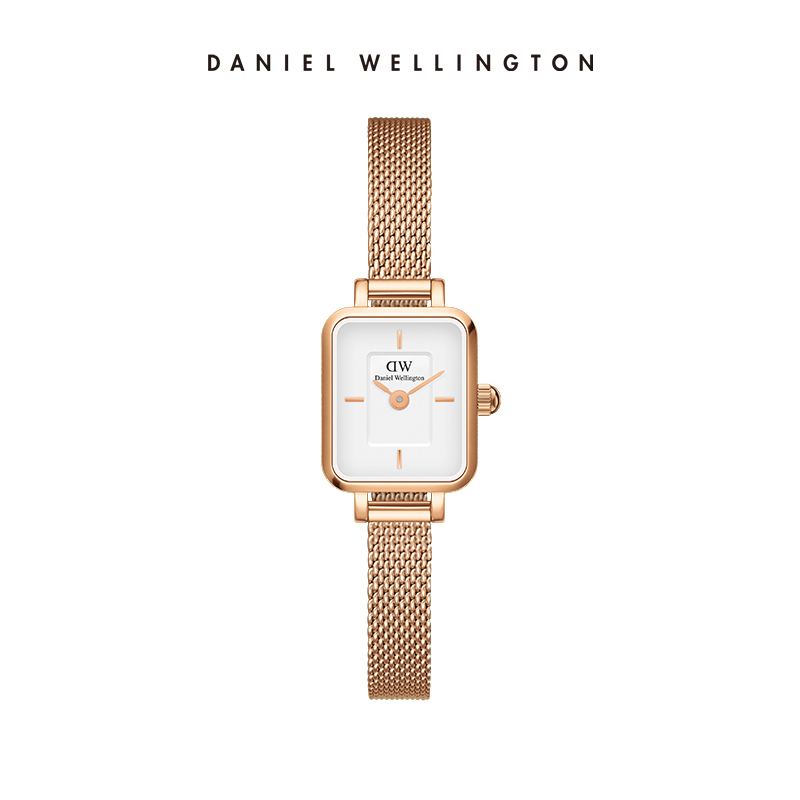 Daniel Wellington Quadro Mini  – Mesh Stainless Strap Bewertung und Preis