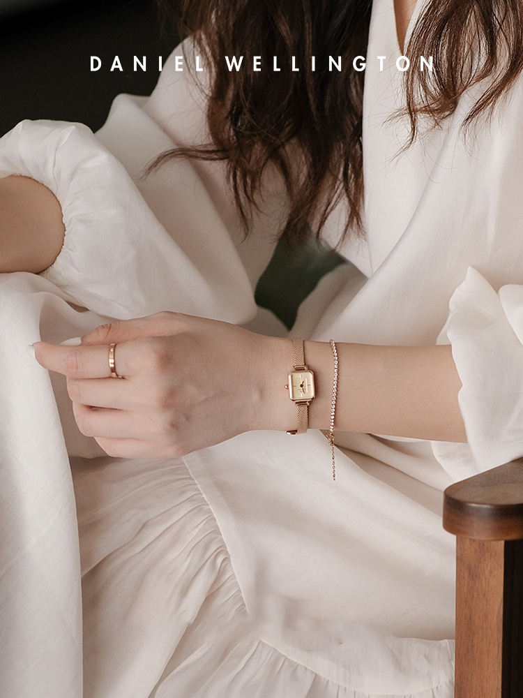 Daniel Wellington Quadro Mini  – Mesh Stainless Strap Bewertung und Preis